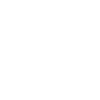 icon: rocket