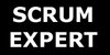 Scrum Expert Logo